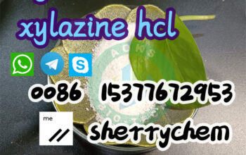 Powder Xylazine 7361-61-7 bmk_