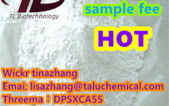 Protonitazene 119276-01-6 Flubrotizolam 57801-95-3