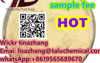 Protonitazene 5cl-abda Research Chemi