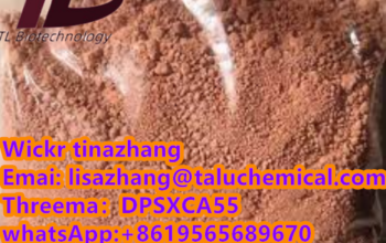 Tiletamine Hydrochloride CAS 14176-50-2
