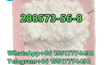 288573-56-8 1-BOC-4-(4-FLUORO-PHENYLAMINO)-PIPERID