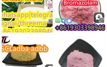 100% safe arrival Bromazolam CAS 71368-80-4 whtsa