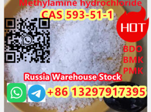 CAS 593-51-1 Methylamine hydrochloride