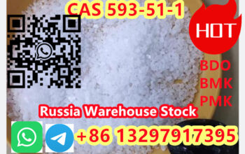 CAS 593-51-1 Methylamine hydrochloride