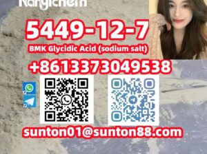 5449-12-7 BMK Glycidic Acid (sodiu