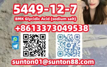 5449-12-7 BMK Glycidic Acid (sodiu