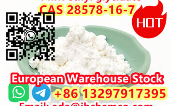 Low price PMK powder China bulk stock CAS 28578-16