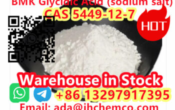 CAS 5449-12-7 BMK Glycidic Acid (sodium salt) bmk