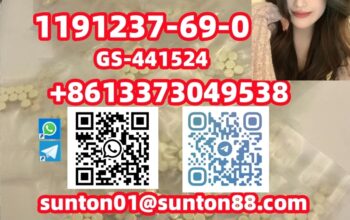 1191237-69-0 GS-441524