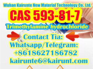 Trimethylamine hydrochloride cas 593-81-7