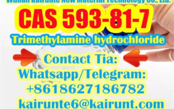 Trimethylamine hydrochloride cas 593-81-7