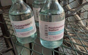 BUY NEMBUTAL ONLINE ,BUY PENTOBARBITAL SODIUM, BUY