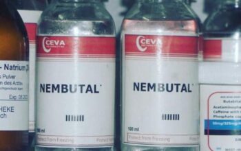 BUY NEMBUTAL ONLINE ,BUY PENTOBARBITAL SODIUM, BUY