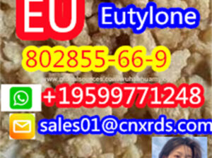 highpurity CAS:802855-66-9 EU WHATSAPP+19599771248
