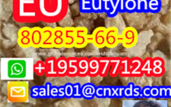 highpurity CAS:802855-66-9 EU WHATSAPP+19599771248