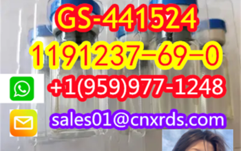 hot sale CAS:1191237-69-0 GS-441524