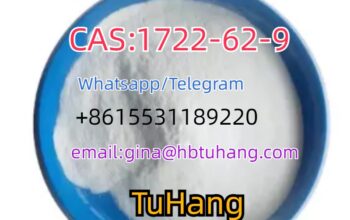 CAS1722-62-9
