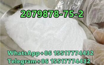 2-(2-Chlorophenyl)-2-nitrocyclohexanone CAS 207987