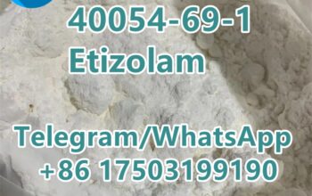 CAS 40054-69-1 Etizolam hotsale in the United Stat
