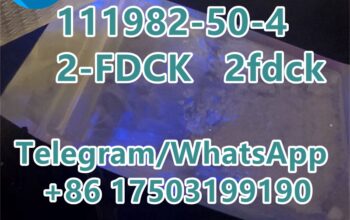 CAS 111982-50-4 2-FDCK 2fdck hotsale in the Unite