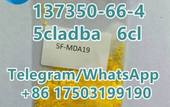 CAS 137350-66-4 5cl adba 6CL hotsale in the United