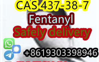 with100% Safe Delivery USA UK 437-38-7 Fentanyl+