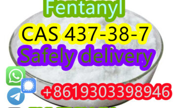 Factory hot 437-38-7 Safely delivery Fentanyl+8619