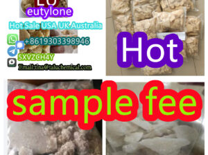 with100 Safe Delivery USA UK eutylon EU eutylon