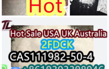 with100% Safe Delivery 2F-dck 2fdck 2-fdck cas 111