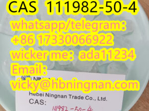 Reliable Supplier 2F-DCK CAS 111982-49-1