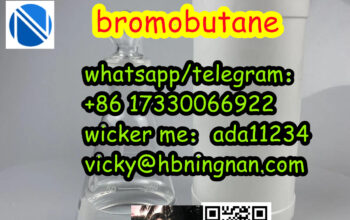  bromobutane ( CAS :109-65-9)