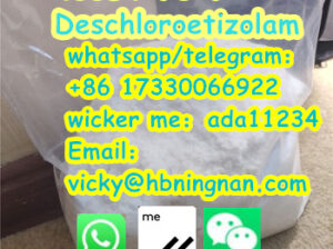 40054-73-7CAS Deschloroetizolam