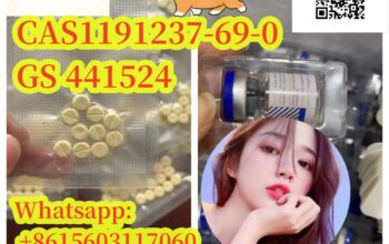cat medicine CAS1191237-69-0 GS 441524