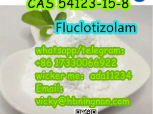 54123-15-8 Fluclotizolam