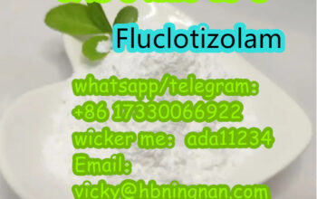 54123-15-8 Fluclotizolam