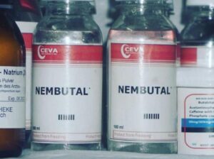 BUY NEMBUTAL ONLINE ,BUY PENTOBARBITAL SODIUM, BUY