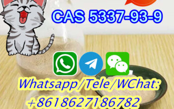 CAS 5337-93-9 4-Methylpropiophenone EU/RU/AU Wareh