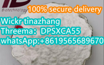 Manufacturer CAS 14680-51-4 MetonitazenSupplier 