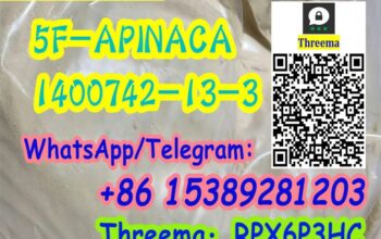 Noids 5F-CUMYL-PINACA,SGT-25 CAS:1400742-16-6 8951
