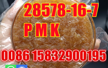 Pure Pmk glycidate oil 28578-16-7 supplier