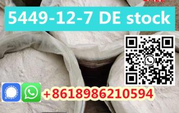 Netherlands/Germany Warehouse CAS 5449-12-7 bmk