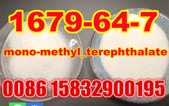 99% mono-Methyl Terephthalate CAS 1679-64-7