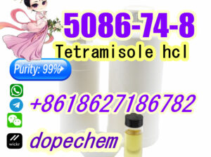 Tetramisole hydrochloride 5086-74-8 Safe Delivery
