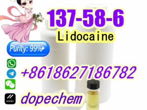 Lidocaine 137-58-6 10 Days Arrive Factory Supply