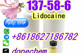 Lidocaine 137-58-6 10 Days Arrive Factory Supply