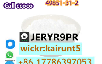 CAS 49851-31-2 2-Bromo-1-Phenyl-Pentan-1-One Recre