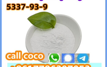 CAS 5337-93-9 high purity Pyridine Safe Delivery W
