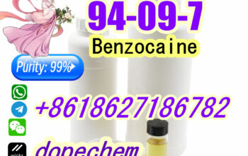 Benzocaine 94-09-7 Safe Delivery Factory Price