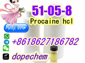 Procaine hydrochloride cas 51-05-8 Bulk Supply Sec