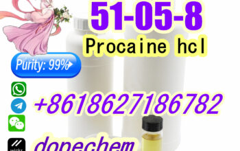 Procaine hydrochloride cas 51-05-8 Bulk Supply Sec